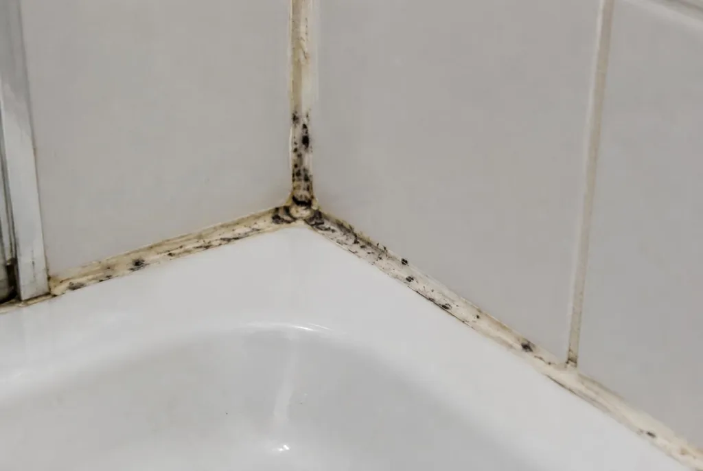 Kitbedrijf Elburg – beschimmelde kitranden
